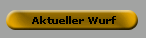 Aktueller Wurf