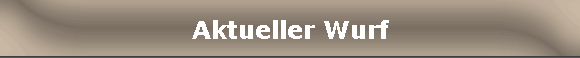 Aktueller Wurf