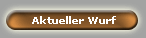 Aktueller Wurf