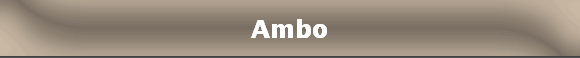 Ambo