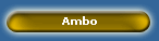 Ambo