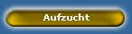 Aufzucht