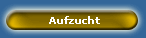 Aufzucht