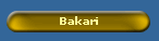 Bakari