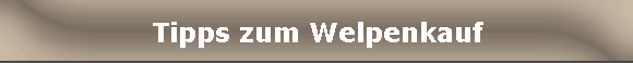 Tipps zum Welpenkauf
